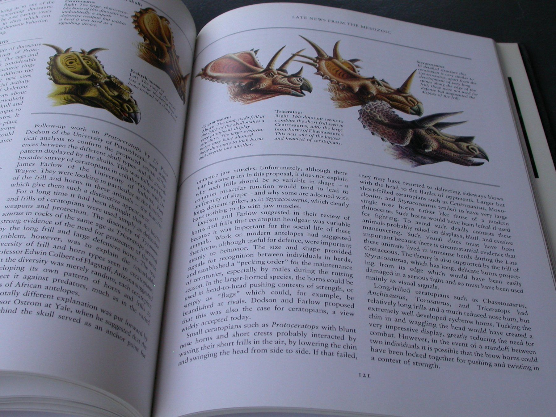 Libri: Dinosaur – Usato da Zürich venduto da Marcel6887 8