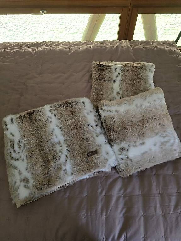 Coperte: Fell Decke und Kissen – Usato da Staufen venduto da sandy23