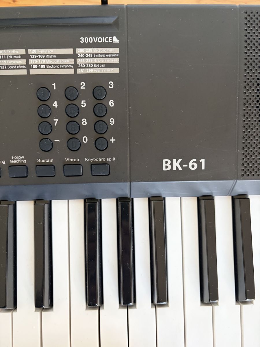 Musikinstrumente: Piano Keyboard Startone BK-61 – Gebraucht aus Zürich von warioner 3