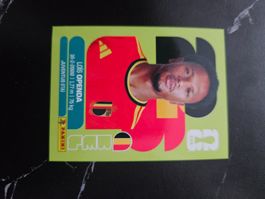 BEL 19