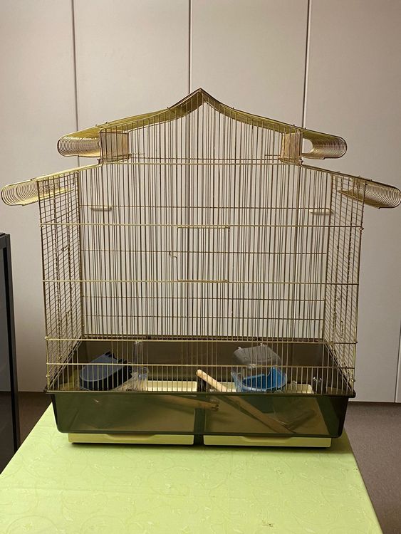 Vogelkäfig Kaufen auf Ricardo
