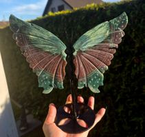 🦋🌿 Ozeanjaspis Schmetterling auf Stand 🌿🦋