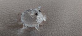Swarovski Schwein klein