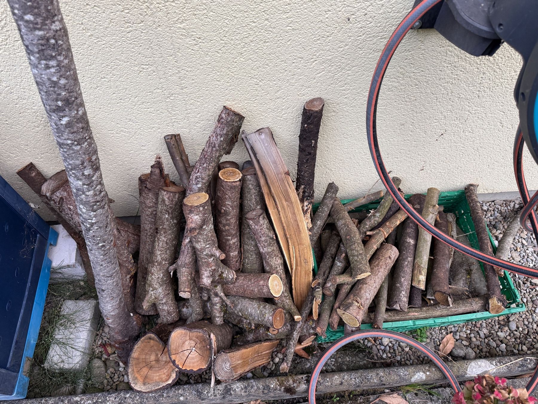 Articoli in legno: Holz von Essigbaum – Usato da Ottoberg venduto da Aramis.007 3