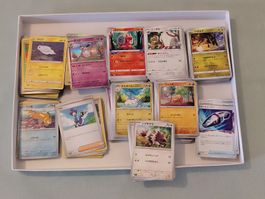 Pokemon Bulk, koreanisch & japanisch