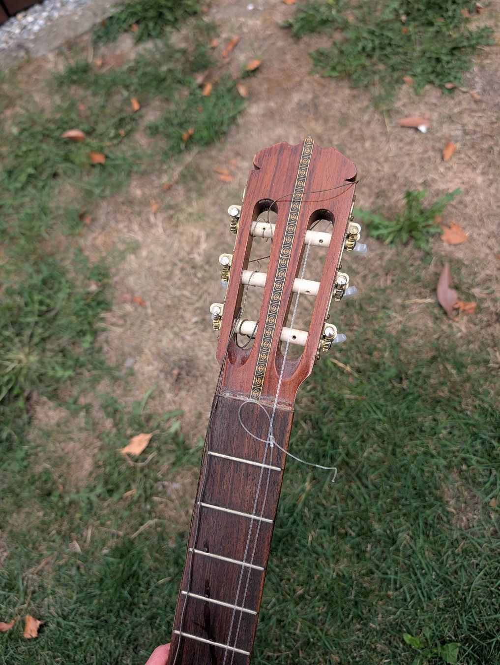 Instruments de musique: gitarre – D'occasion à Täuffelen par Seeberg-ag.ch 3