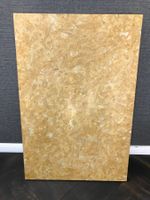 Steinplatte mit Fossilien Fricktal. Sehr interessante Platte