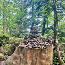 Profile image of yubr