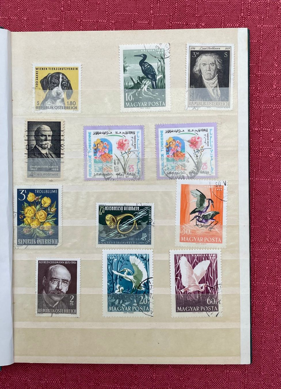 Alben: Briefmarken Album, alte Marken – Gebraucht aus Hettiswil von wer_9kcr 7