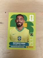 Panini BRA 18