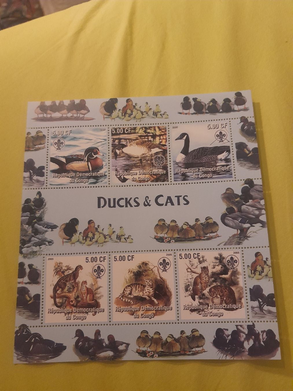 Tutti i francobolli: Congo: Timbres Rares - Canards et Chats - Collection! – Nuovo (secondo la descrizione) da Marly venduto da globetrotter1723