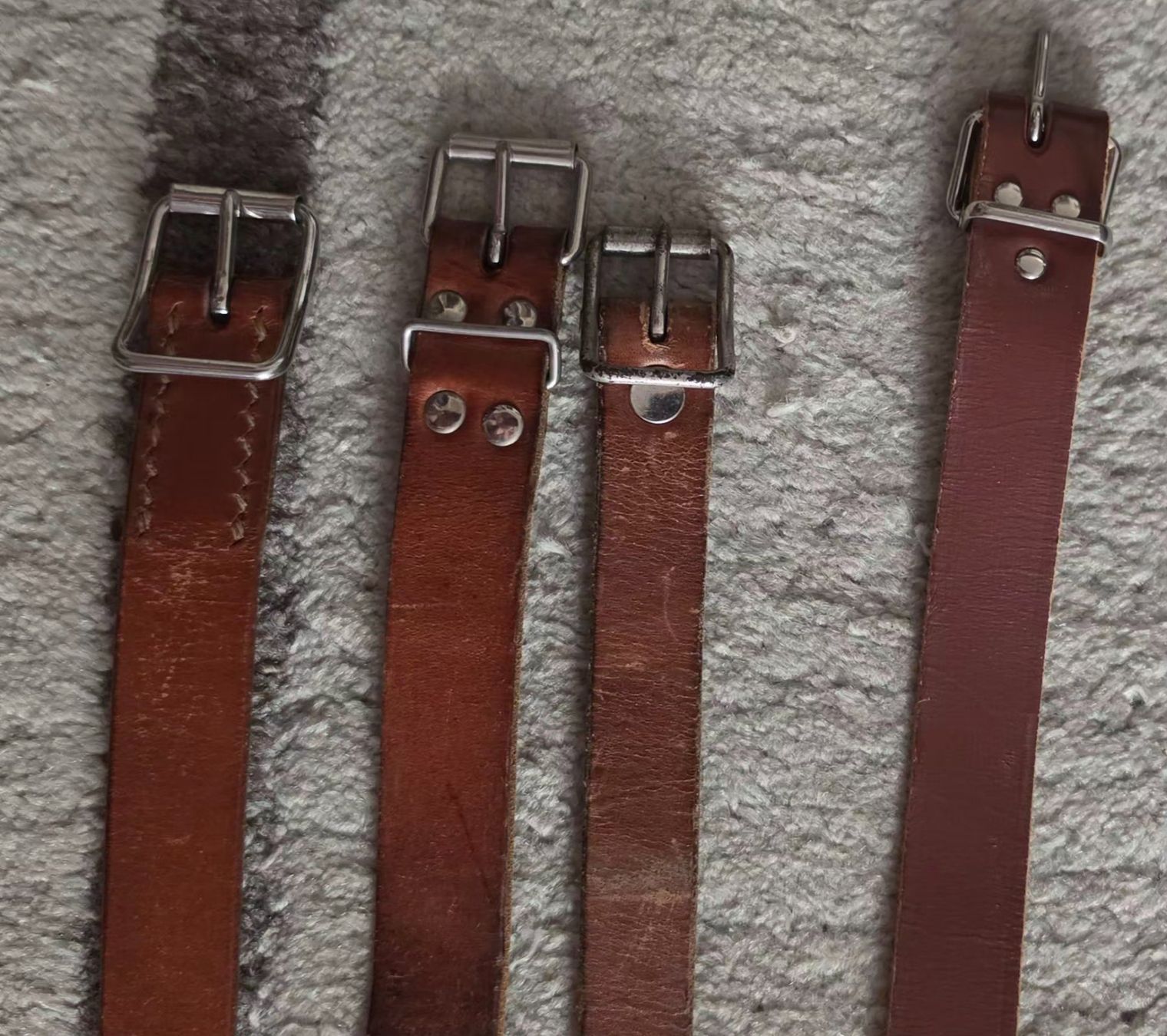 Briglie & Cavezze: Quatre longues sangles. – Usato da Cortaillod venduto da signep 1