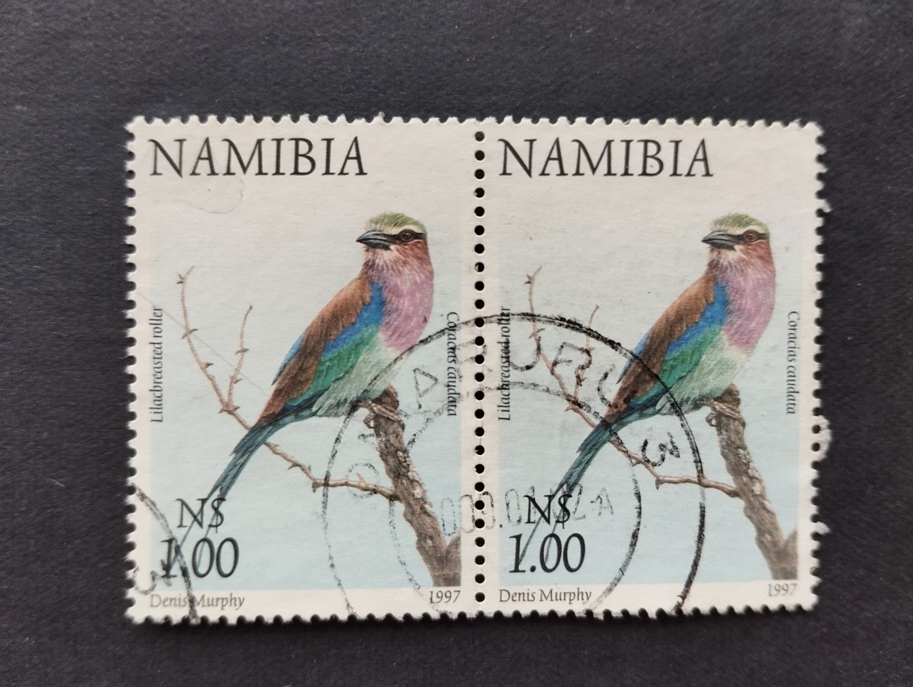 Tutti i francobolli: Namibia - Vogel – Usato da Villars-sur-Glâne venduto da MiguelDelgado