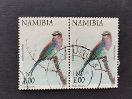 Namibia - Vogel