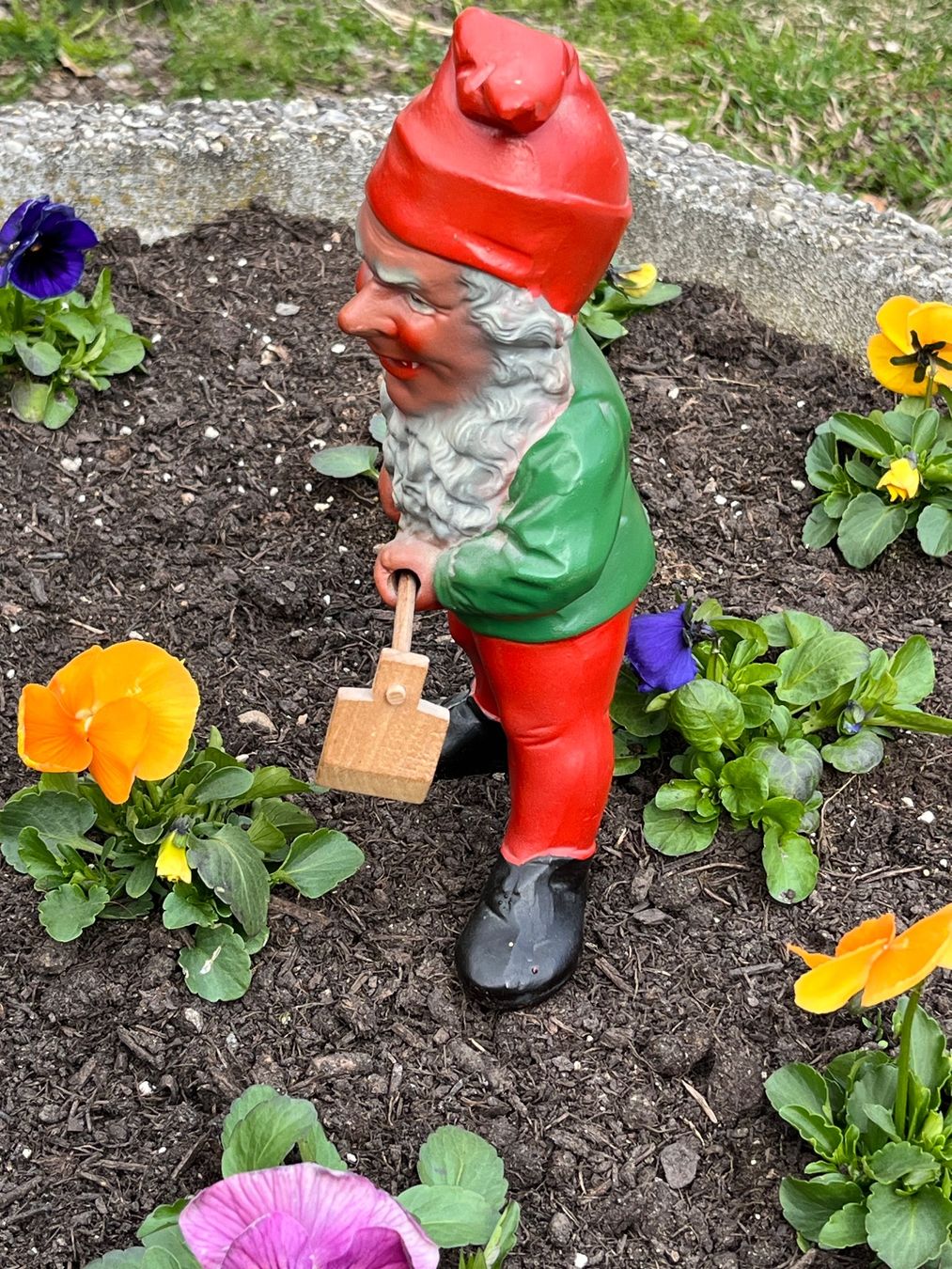 Statuette: Alter Gartenzwerg – Usato da Kandergrund venduto da honey-art_and_more 1