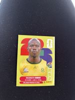 Panini RSA 10