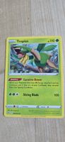 Sammelkarte Pokémon Tropius