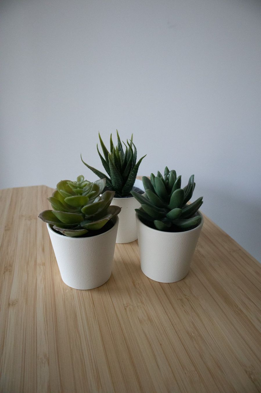 Ikea Tutte le decorazioni: Ikea fake Pflanzen klein – Usato da Fislisbach venduto da AllyElgorb 1