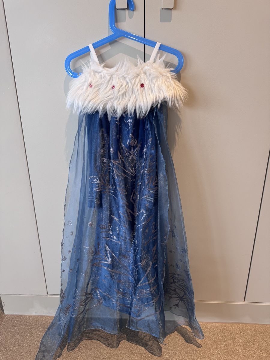 Costumi: Frozen carnival dress – Usato da Ruvigliana venduto da lux_t2sb 2
