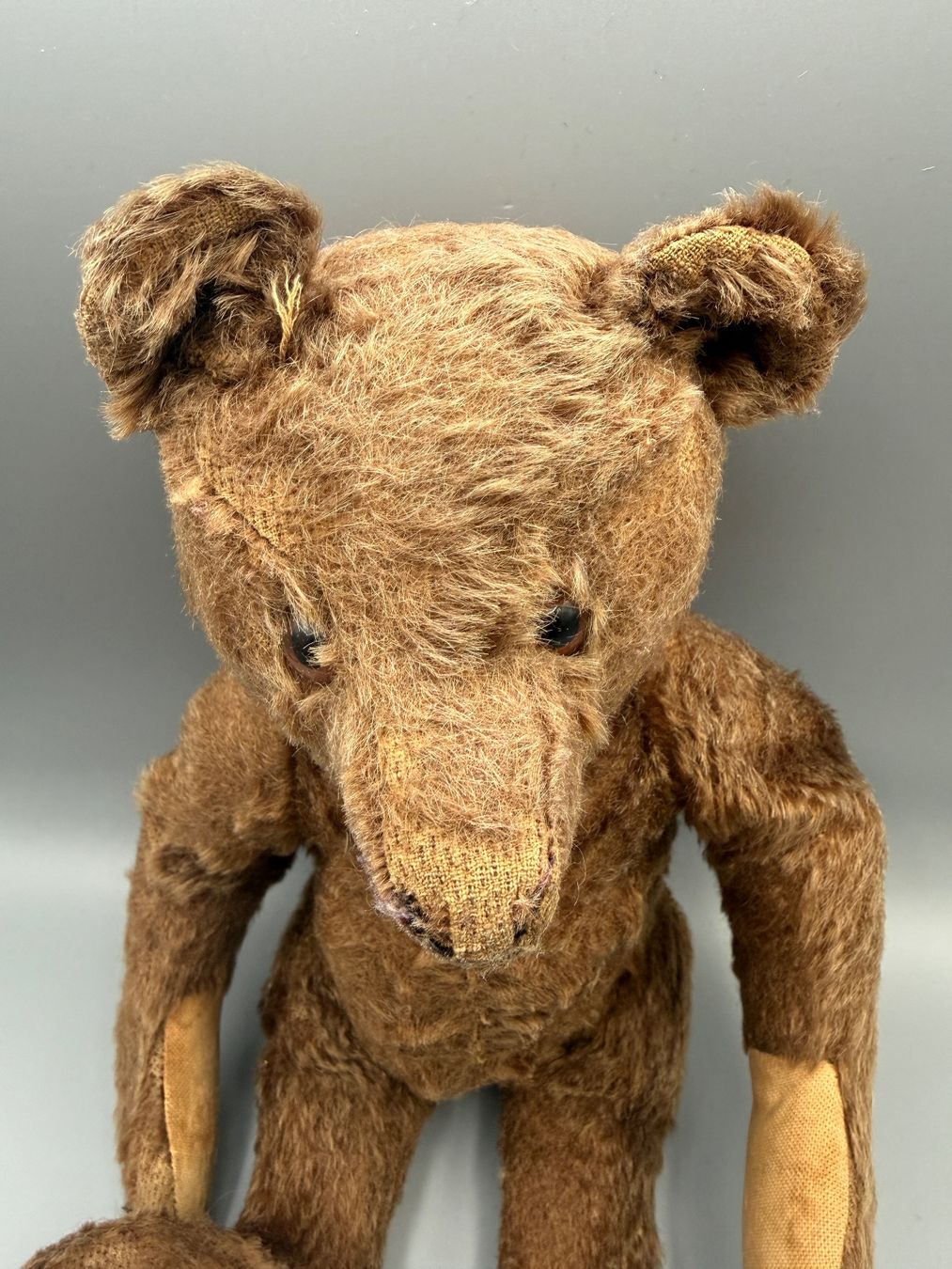 Steiff Giocattoli: Antiker Steiff Teddybär um 1920-1925 – Usato da Ueberstorf venduto da Brocandi 1