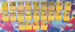 ⚡ Pokémon TCG Pikachu & Raichu Karten Set – 22 Karten ab1.-