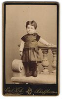 Fotografie Carl Koch, Schaffhausen, Stad