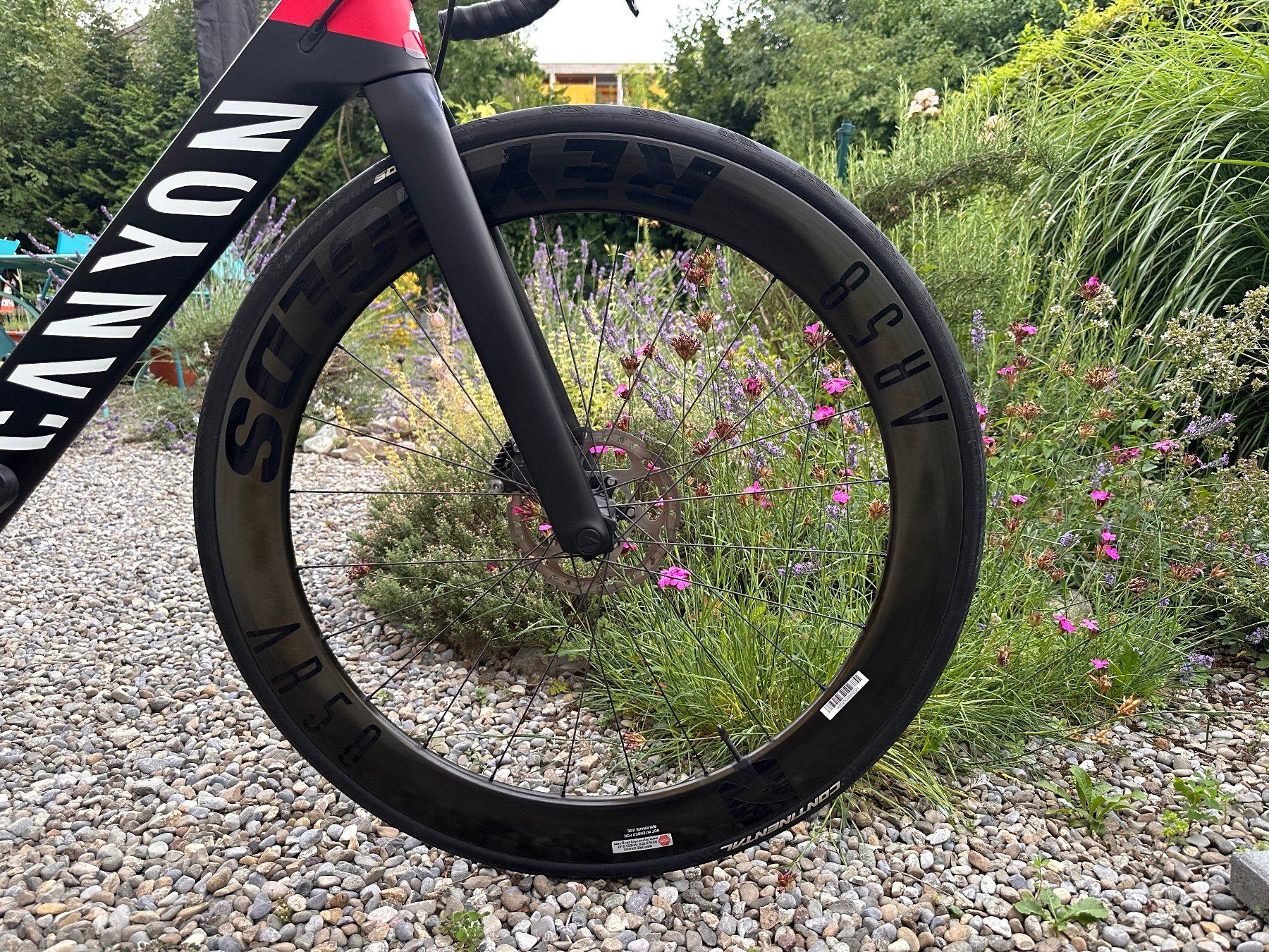 Canyon Vélos: Canyon Aeroad CF SL 7 Disc 2022 - Grösse L - Shimano 105 – D'occasion à Bern par fab_gjd2 2