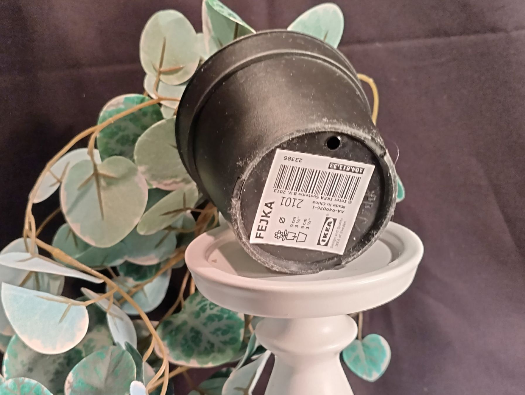 Pflanzen & Samen: Zimmerpflanze im Topf, IKEA – Gebraucht aus Bellach von JingleCherry 3
