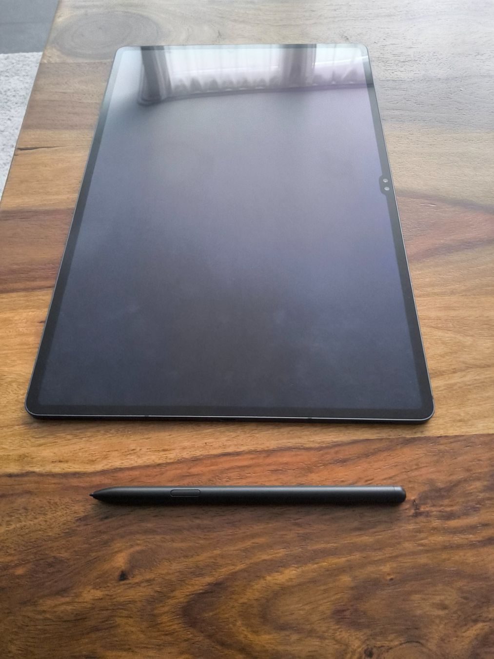 Samsung Tablet PC: Samsung Galaxy Tab S9 Ultra – Usato da Rafz venduto da Baenz6