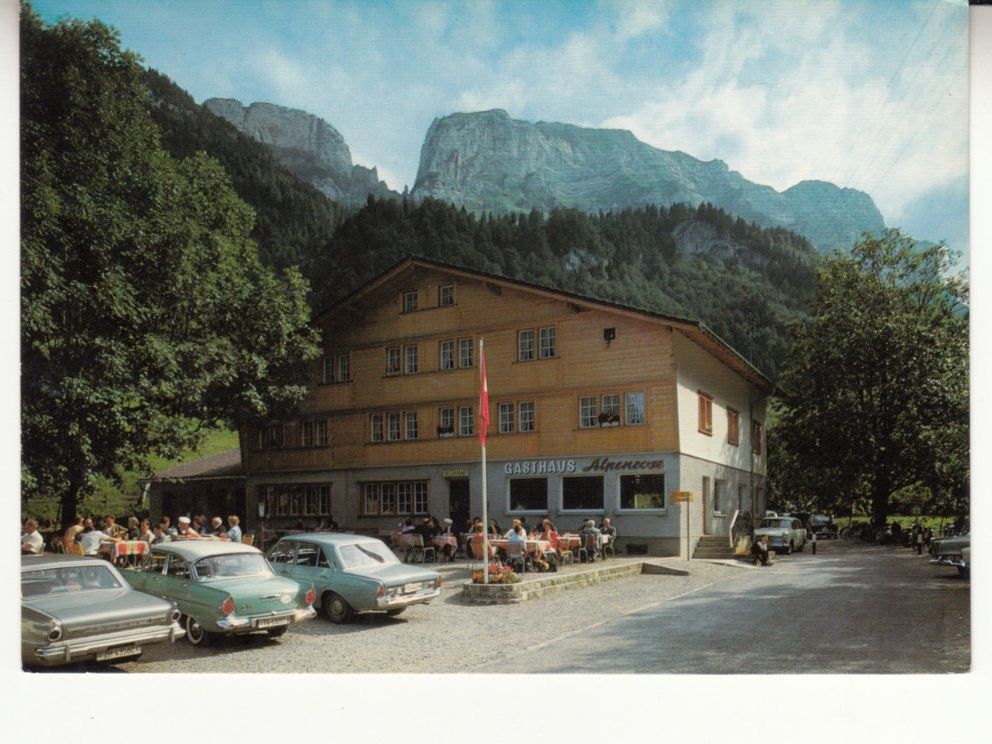 Cartoline postali: Wasserauen Alpenrose ca. 1970 – Usato da Bürglen TG venduto da StampGraf