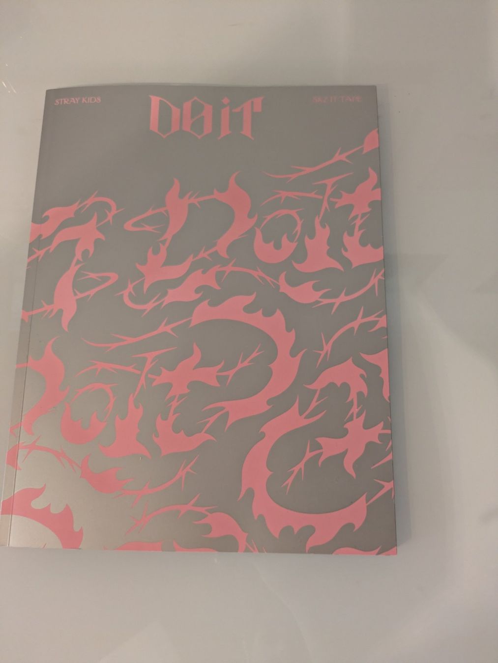 CDs: Stray Kids Do it Album – D'occasion à Lyss par Andromeda12