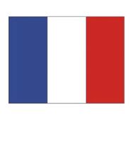 Fahne Frankreich - France