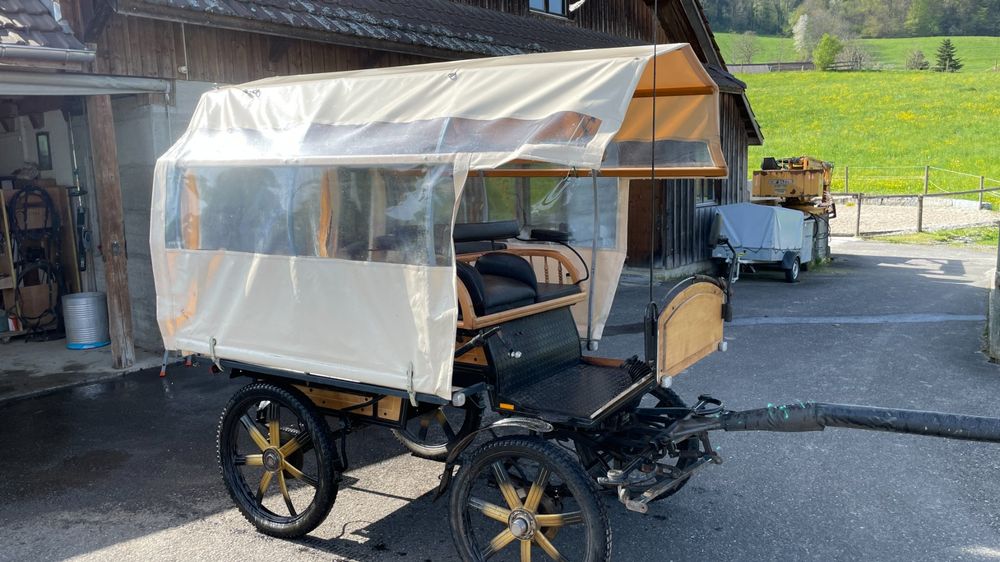 Kutsche (Gebraucht) in Meierskappel für CHF 1160 – nur Abholung auf ...