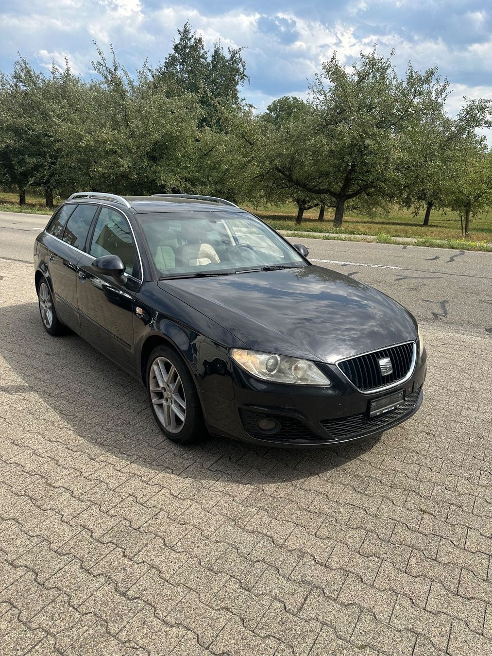 Seat Automobili: Seat Exeo 2.0TSI – Usato da Zuckenriet venduto da DGZ2020