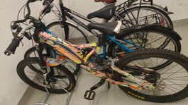 Norco Downhillbike