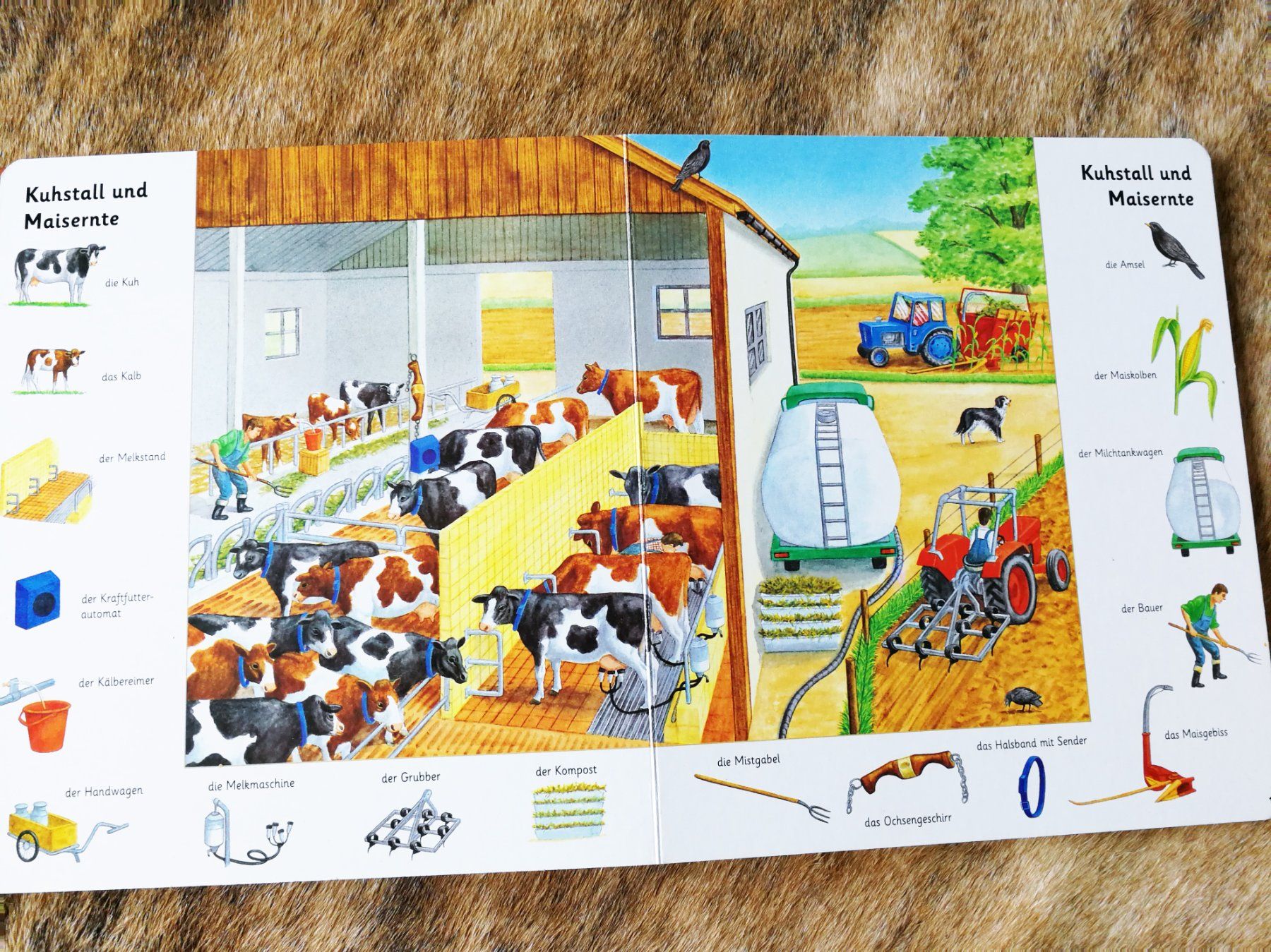 Libri: 3 x Kinderbücher Set – Usato da Hombrechtikon venduto da MalgorzataJ 1