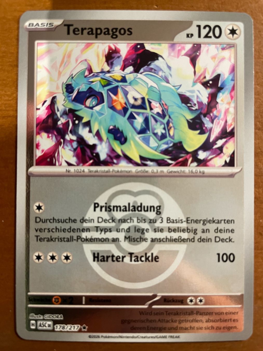 Pokémon Carte collezionabili: Pokemon Terapagos Reverse (Versand gratis) – Nuovo (secondo la descrizione) da Chur venduto da Angerson