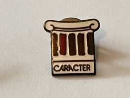 1 Pin Caracter