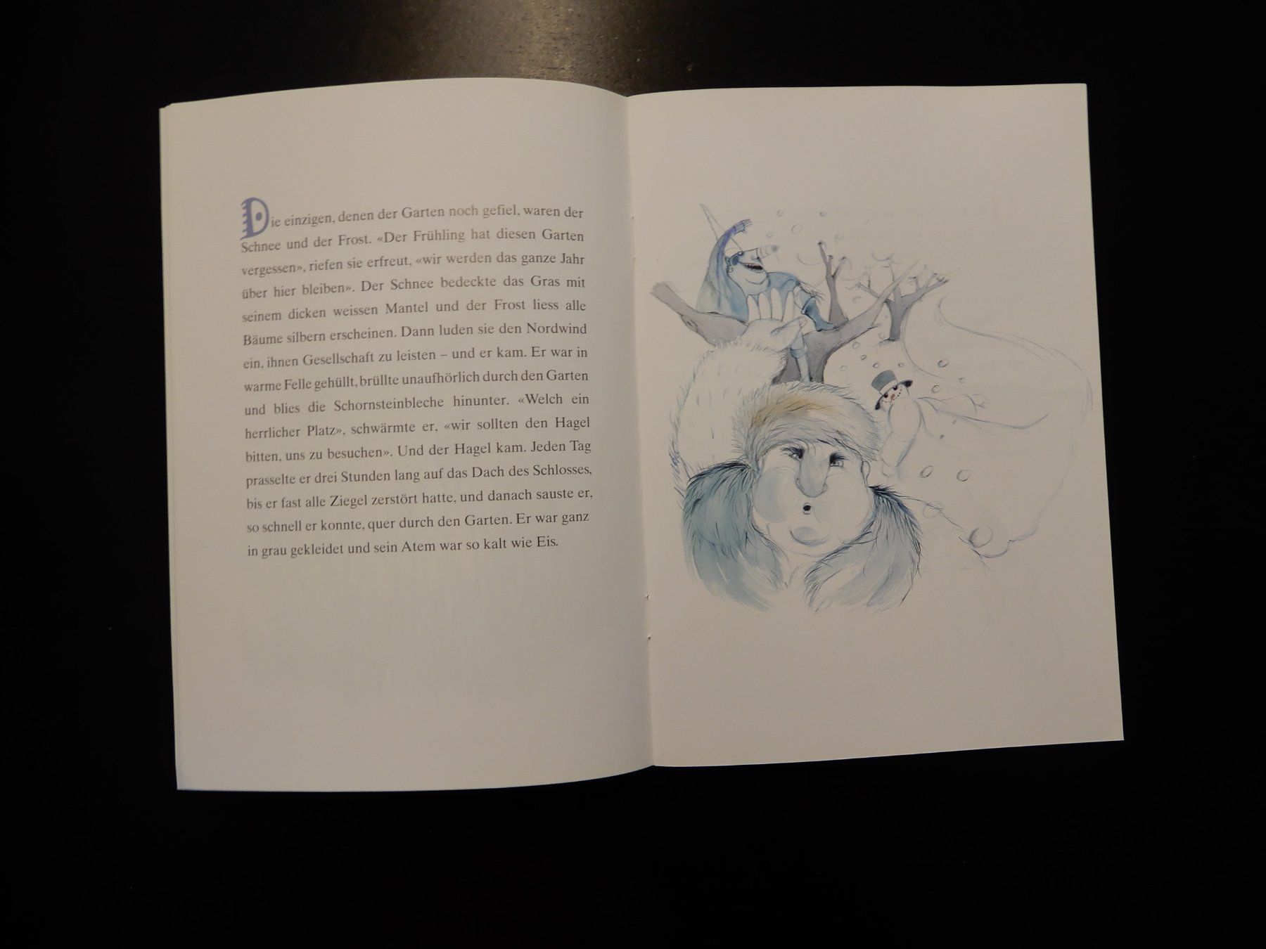Libri: Der selbstsüchtige Riese - Kinderbuch – Usato da Erstfeld venduto da Mario_boe0 5