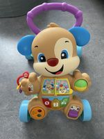 Laufwagen Fisher-Price Lernspass Hündchens
