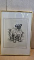 Mops Zeichnung, gerahmtes Bild, Goldrahmen, 31.4cmx24.8cm