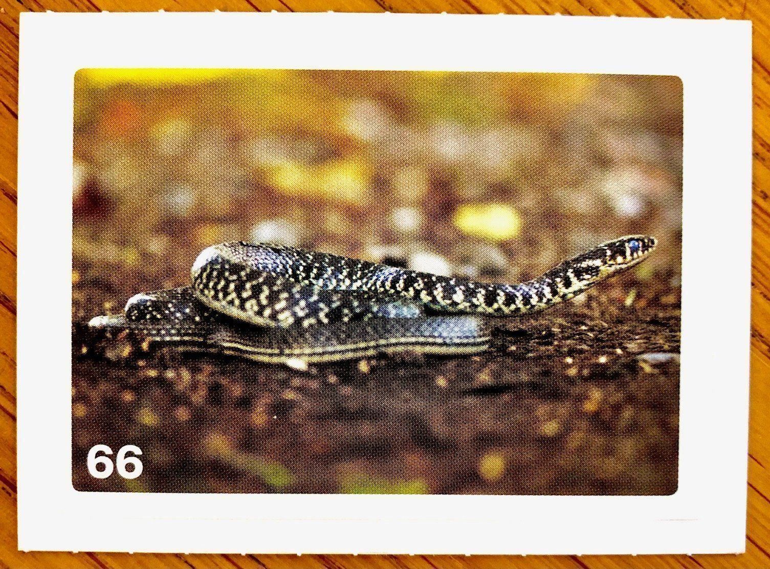 Migros Carte collezionabili: Migros Nature Detectives - Bild Nr. 66 – Nuovo (secondo la descrizione) da Oberrieden venduto da Zimmerberg10