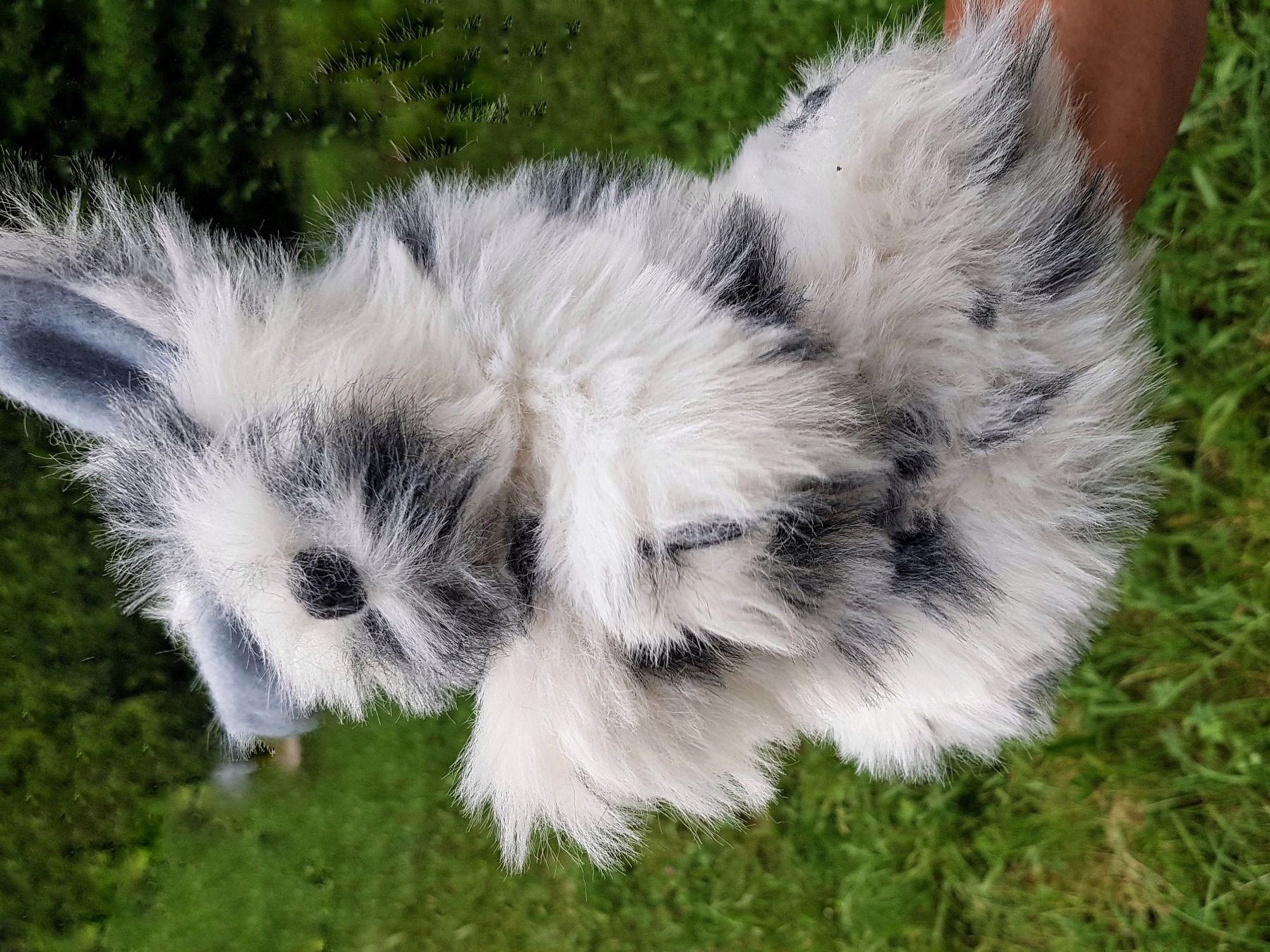 Bambole: FLUPPETS: Handpuppe Hase / NEU – Nuovo e nell'imballaggio originale da Dürrenäsch venduto da Didaedi 3