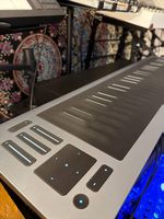 Roli Seaboard RISE2
