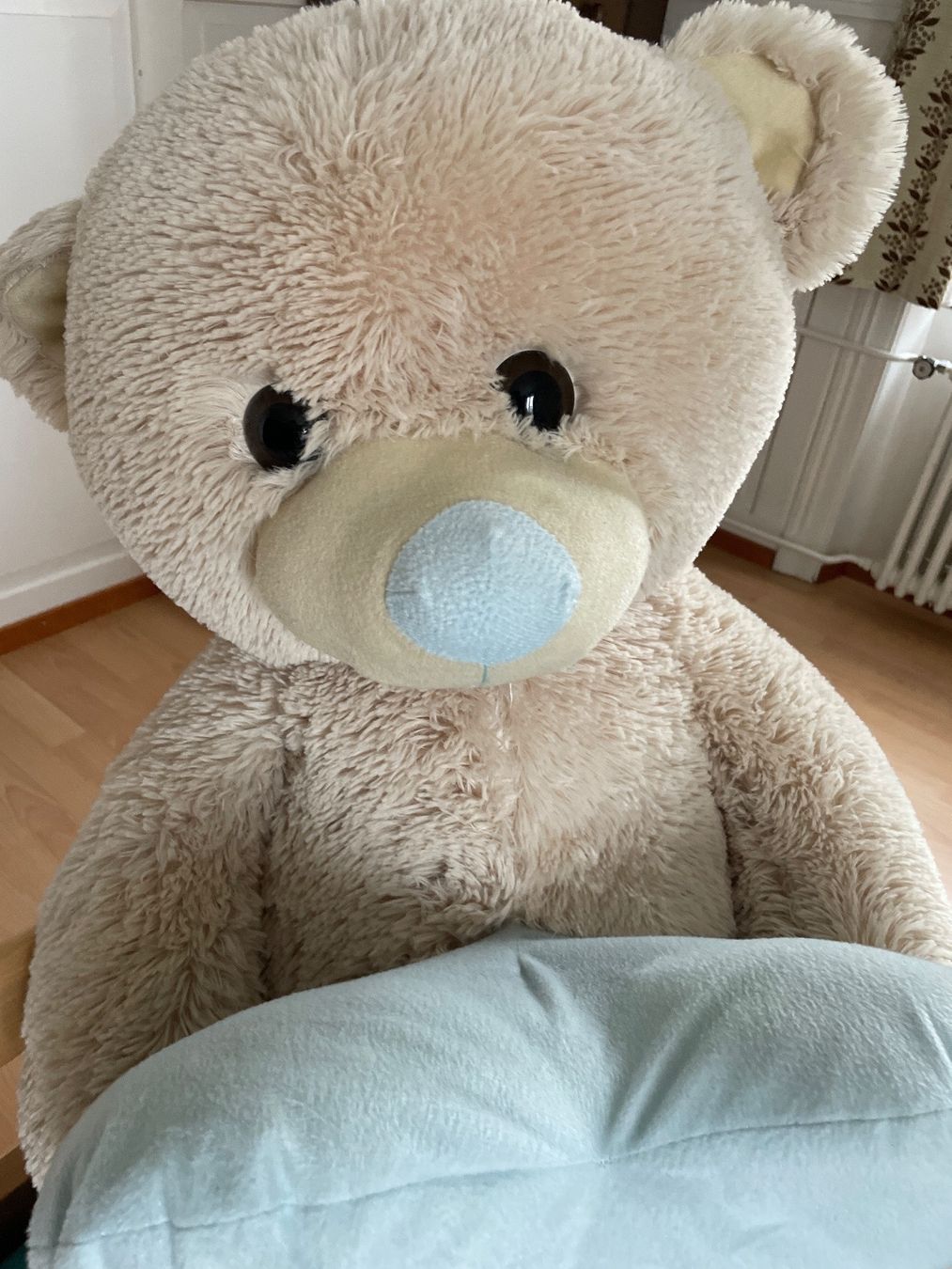 Tutte le decorazioni: grosser Teddy – Nuovo (secondo la descrizione) da Fahrwangen venduto da Rehtse03 3
