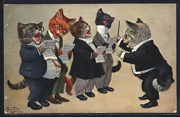 Cartoline postali: Arthur Thiele: Katzen-Männergesangverei – Usato da Berlin venduto da bartko-reher