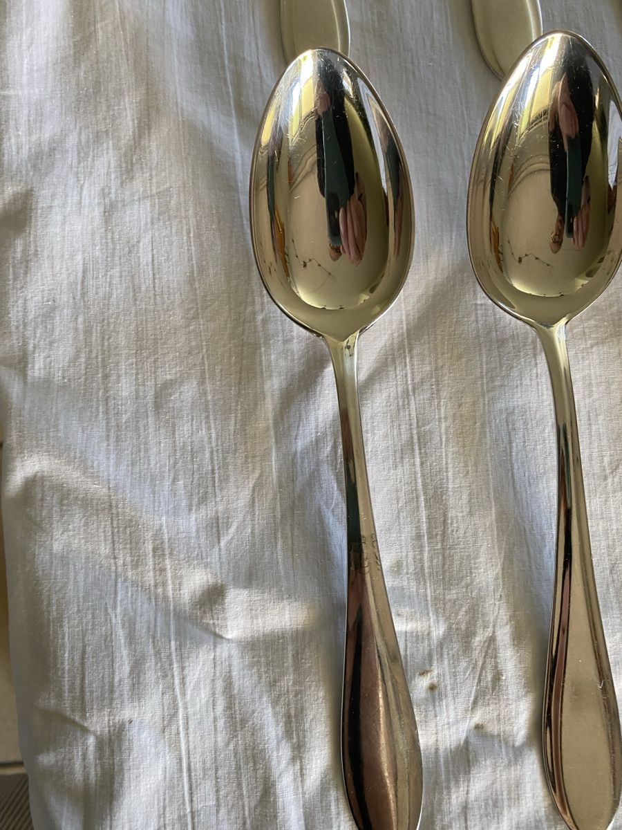 Set di posate: Sternegg  No 3  24 Stück – Usato da Brüttisellen venduto da Guzzi010 1