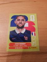 Panini WM 2026 FRA 12
