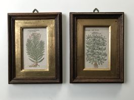 Couple de tableaux anciens