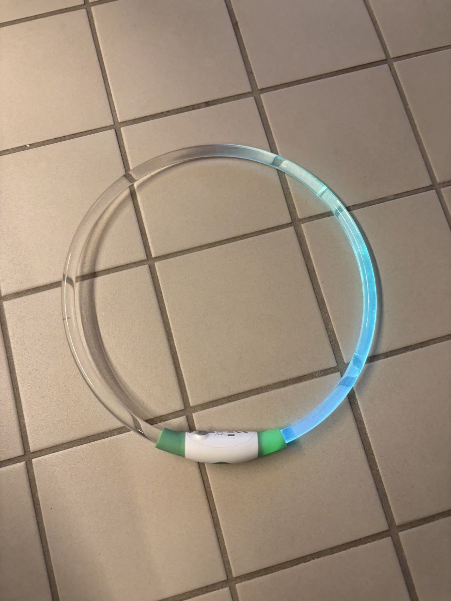 Abbigliamento: Leuchtendes Halsband – Nuovo (secondo la descrizione) da Wangen b. Olten venduto da oli_f9b8 1